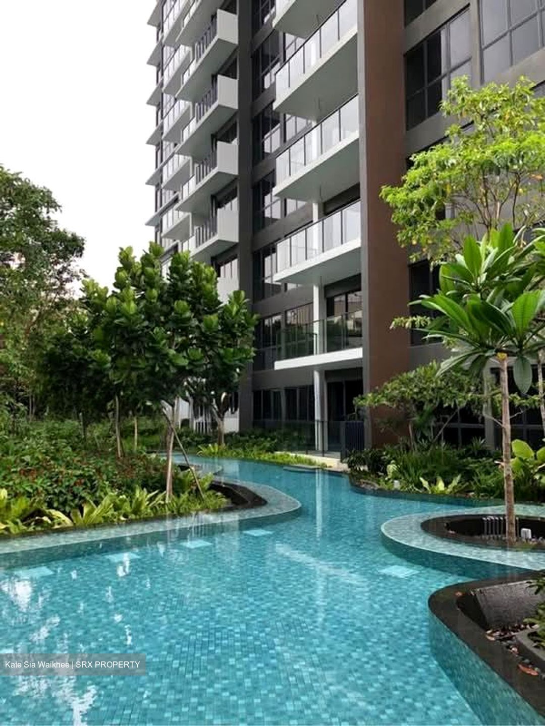 The Clement Canopy (D5), Apartment #560595551